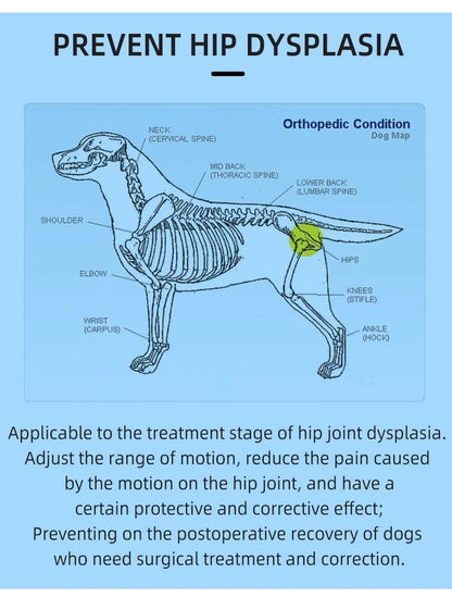 Pets Dogs High Quality Hind Leg Guard Recovery Orthodontic Band for Pet Dog Protective Hip Joint Correction Restore Pet Supplies