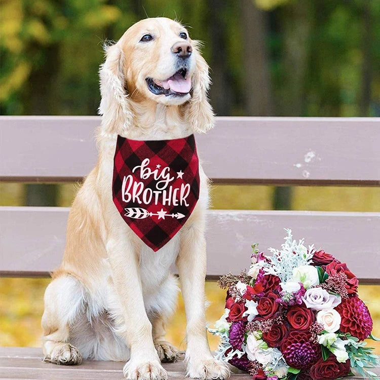 Big Brother Plaid Dog Bandana Pregnancy Announcement Dog Bandana Gender Reveal Photo Prop Pet Scarf Accessories Pet Scarves