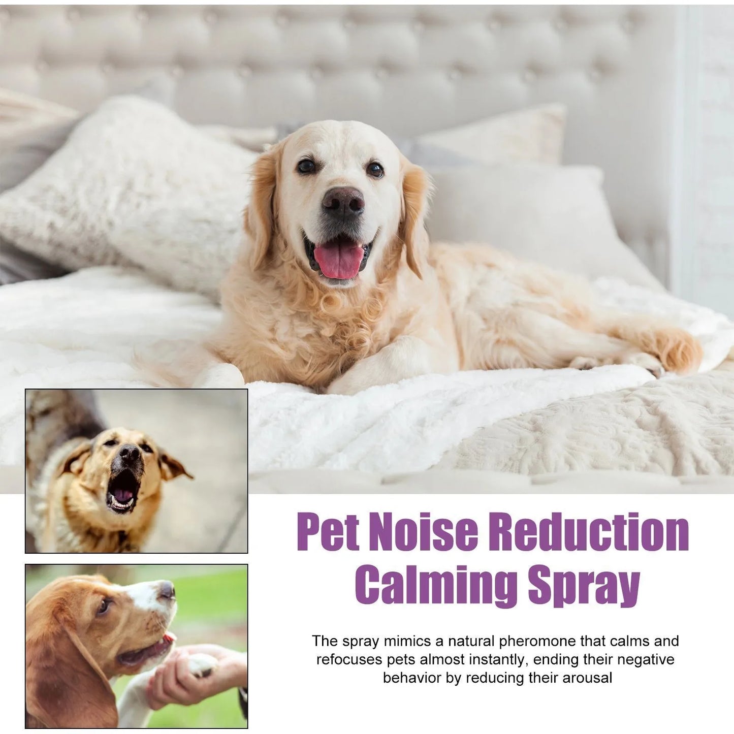 the CALMING SPRAY - 50ml Pet Relaxants, Dog Noise Reduction, Calming Spray for Barking Restless, End the Dog's Negative Behavior, Pet Health Supplies
