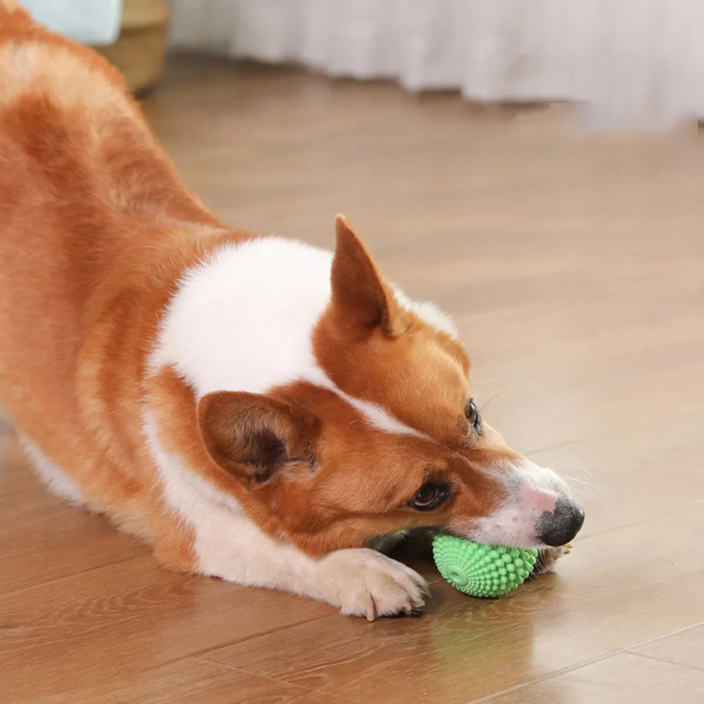 Pet Chew Toy Squeaky Corn Ball, Durable Dog Chewing Ball for Teeth Grinding & Cleaning, Puppy Boredom Relief Pet Supplies