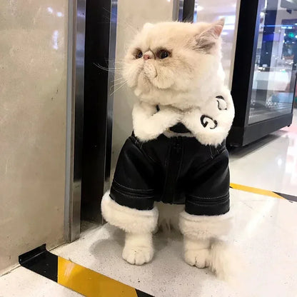 the BIKER DOG - Thickened Fur Integrated Motorcycle Jacket, Pet Clothes, Winter Clothing, Small Dog, Teddy, Pomeranian, Schnauzer