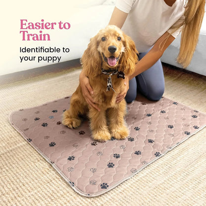 Dog Urine Pads Washable Reusable Anti Slip Pet Pee Pad Puppy Training Pad Pet Bed Urine Mat for Car Seat Cover Pet Supplies