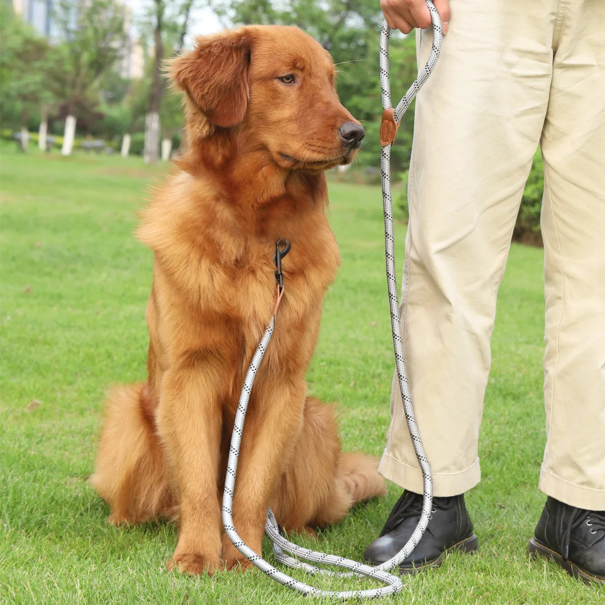 the ACTIVEGLOW HANDS-FREE LEASH - Dog Leash Hands Free Leashes for Dog Walking, Adjustable Dogs Leash, Reflective Dogs Chain Multi-Functional Traction Rope 230cm