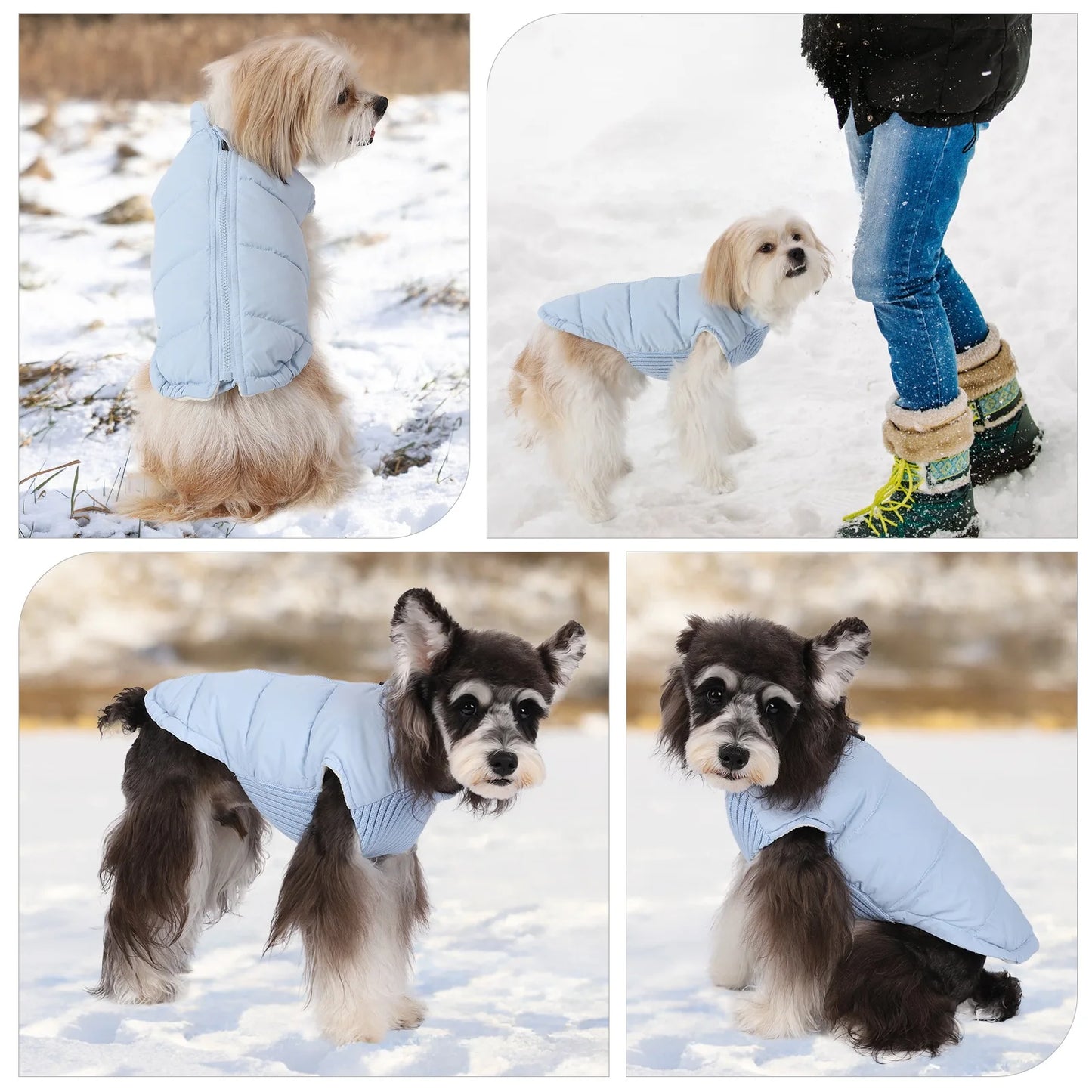 the ARTIC PUP WINDPROOF WINTER COAT - Winter Pet Dog Jacket, Windproof Warm Dogs Clothes for Small/Medium Dogs/Cats, Puppy Down Coat, Chihuahua Shih Tzu Costume, Yorkies