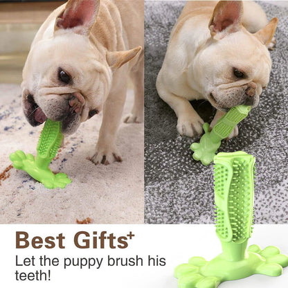 Pet Dog Cactus Interactive Rubber Bite Resistant Chew Toys Small Large Dogs Tooth Cleaning Toothbrush Treat Dispenser Molar Toy