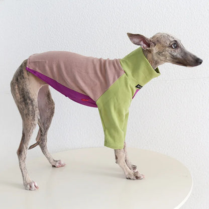 8colors Italian Greyhound Hound Two-Legged Clothes Fashionable Multicolor Soft Comfortable Elastic Fashion Patchwork Dog Clothes