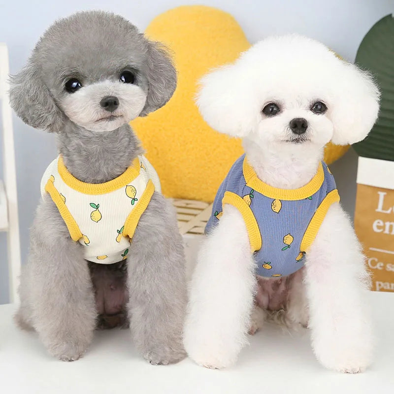 Lemon Pattern Dog Vest Shirt Pet Clothes Beige Blue Costume Sleeveless Hoodies Vests For Small Dogs Chiwawa Puppy Sweatshirt XXL