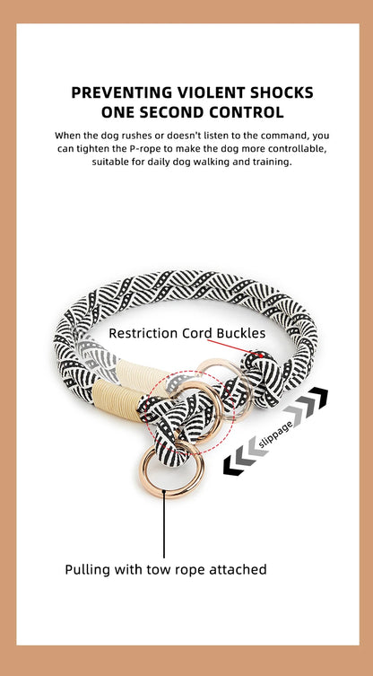 the SIMPLESTRIDE DOG COLLAR - Pet Dog Lead Rope Simple Trendy Style Collar, Leashes for Small/Medium and Large Dogs, Bulldog, Alaskan Malamute, Corgi, Teddy Dog
