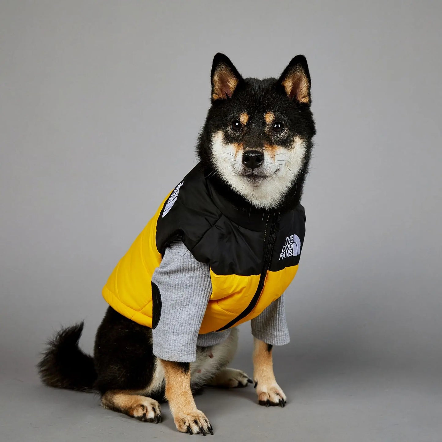 Dog Fans Punch Large Dogs Winter Warm Raincoat Anti Pet Cotton Clothing Windproof Rainproof Dog Coat