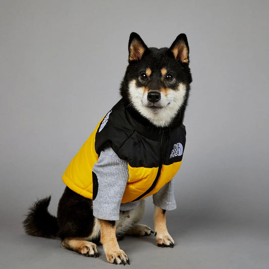 Dog Fans Punch Large Dogs Winter Warm Raincoat Anti Pet Cotton Clothing Windproof Rainproof Dog Coat