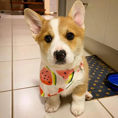 the BREEZYPAWS COTTON BANDANA - Cotton Pet Bandana for Dogs/Cats, Summer Thin Dog Triangular Bandage Scarf, Golden Retriever Bibs, Mascotas, Grooming Accessories