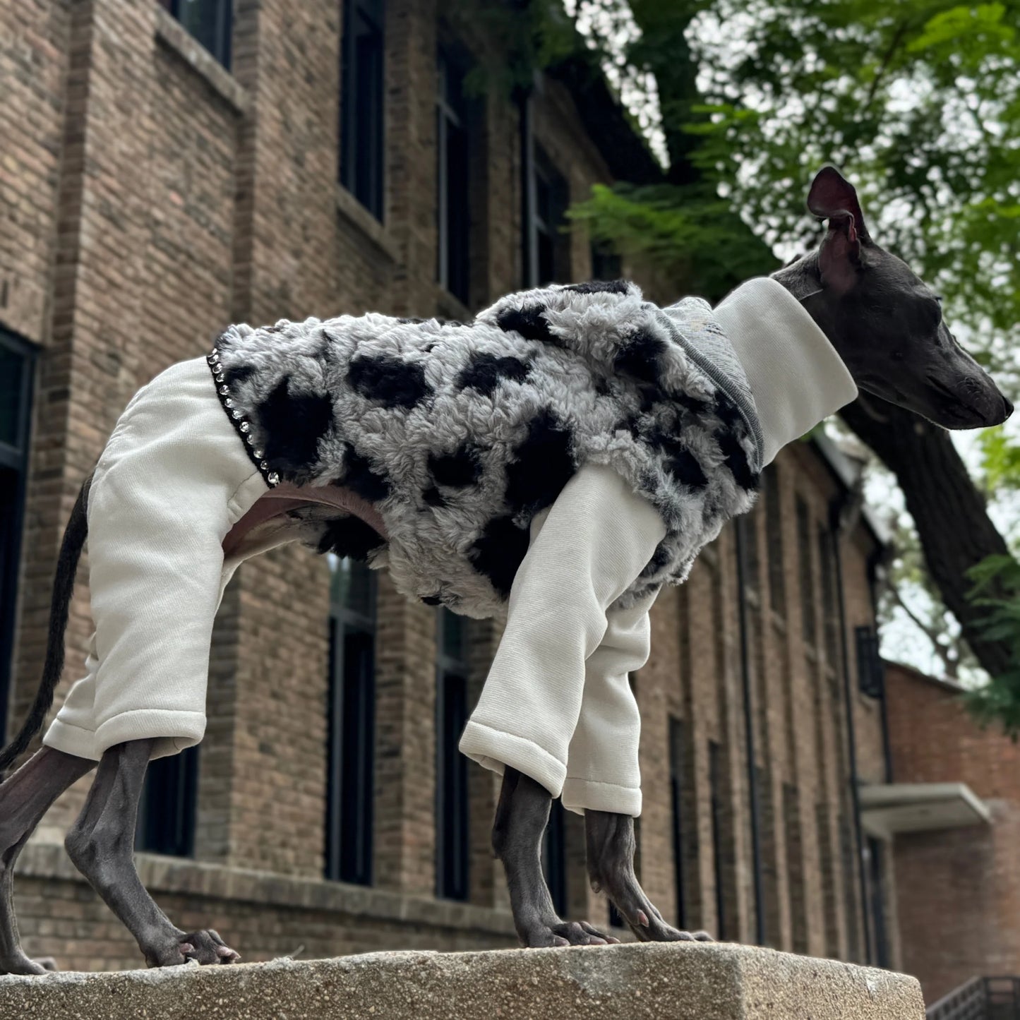 Hooded Leopard Sweater for Dogs in Winter Soft 4-legged False Two Fleece Coat for Greyhounds Warm High-neck Jumpsuit for Whippet