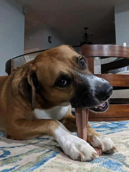 Dog Chew Toys Durable Oral Care Dog Chews Puppy Chew Toys Keep Teeth Clean for Mild Chewing and Teething Teeth Cleaning Toy