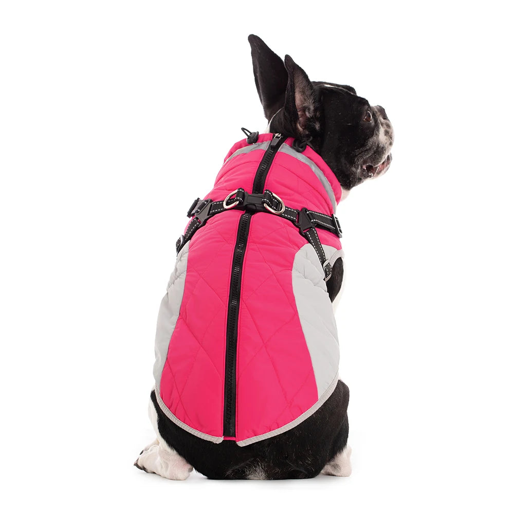 the PAWARMOR HARNESS JACKET - Waterproof Pet Jacket with Harness, Winter Warm Dog Clothes for Small/Large Dogs, Labrador Coat, Chihuahua, French Bulldog Outfits