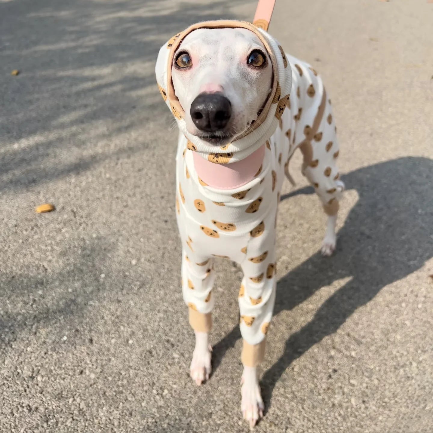 Summer Cartoon T-shirt for Italian Greyhound Breathable Khaki Cotton 4-legged Jumpsuit for Dogs Soft Coat for Whippet in Spring