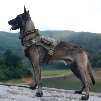Tactical Dog Harness for Large Pet Harness No-Pull Service Vest Adjustable Military Dog Vest for Training Hunting Walking