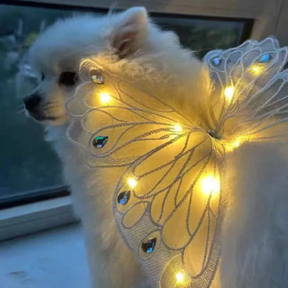 Dog wings glowing butterfly back decoration puppy summer clothes chest back decoration small dog Pomeranian Teddy Bigbear