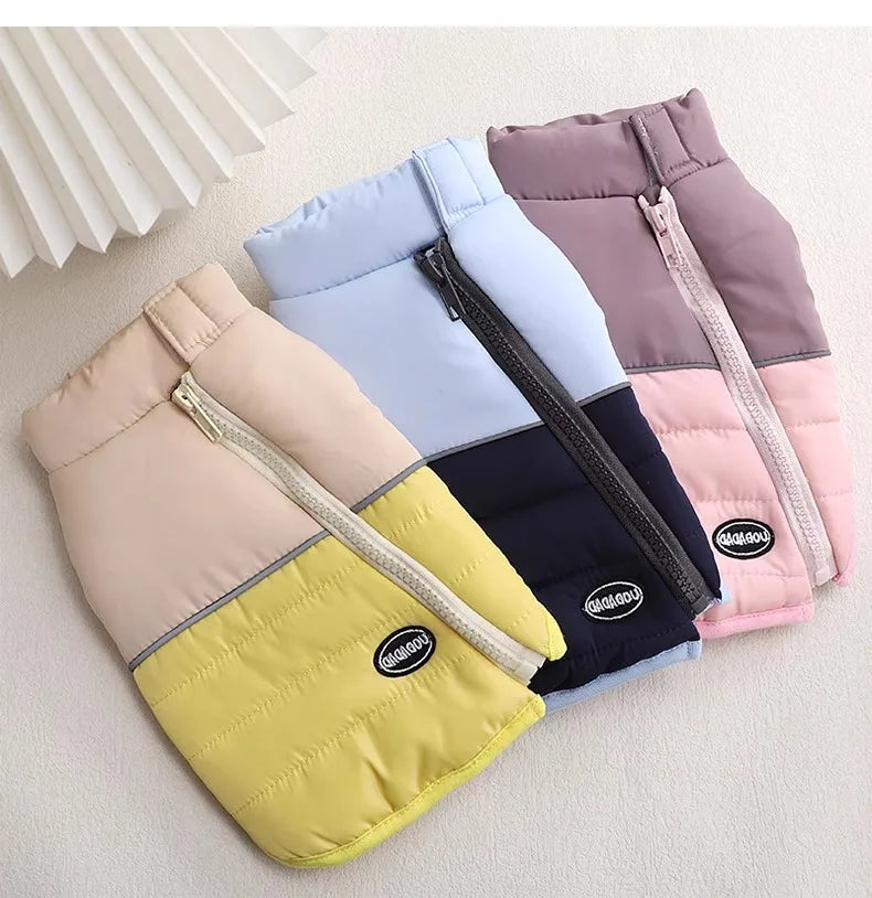 The Dog's Clothes Are A Small Cotton Vest with A Zipper, Similar To A Yorkshire Terrier or Dachshund Pet Clothing.