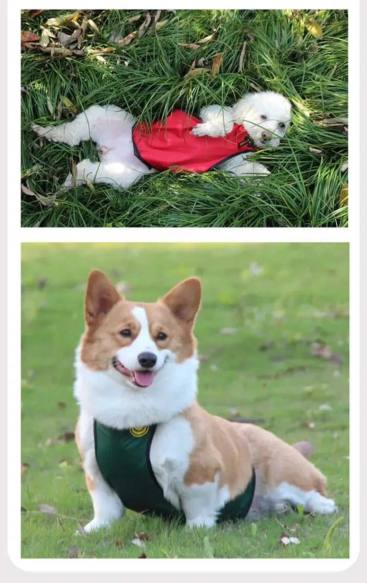 Dog Belly Cover Breathable Dog Cloth Anti-Dirty Waterproof Belly Bands Washable Pet Cloth Indoor Outdoor Dog Apron Pets Costumes