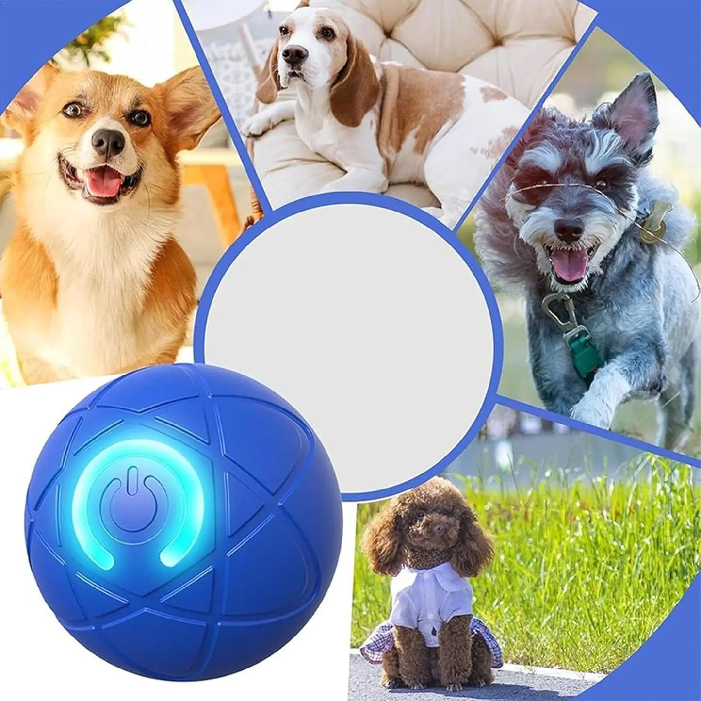 Automatic Rolling Ball Dog Toy - USB Rechargeable Interactive Dog Ball with LED Light, Self-Moving Indoor Play Toy for Puppy Dog