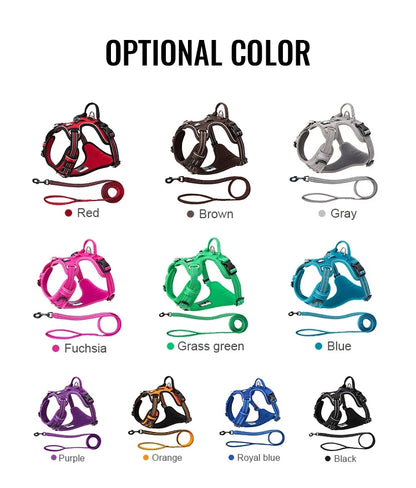 the SUREGRIP ALL-IN-ONE - Truelove Pet Harness+Pet Leash Set, Rope 110cm/200cm, All-in-One Reflective Dog Harness, No Pull, Adjustable Buckles
