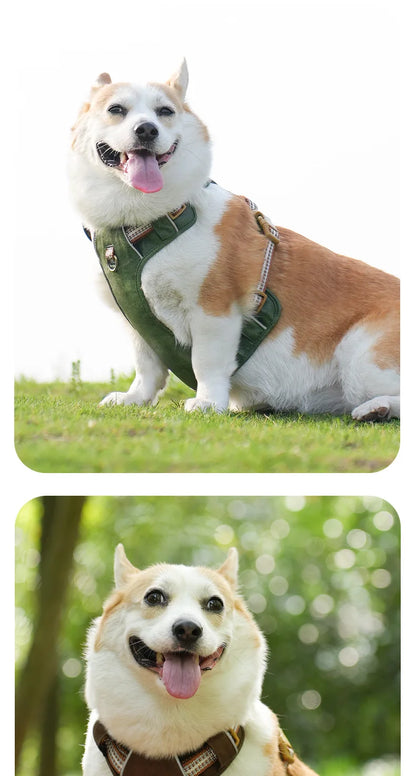 Retro leather pet chest strap, explosion-proof, reflective dog chest and back, breathable and adjustable