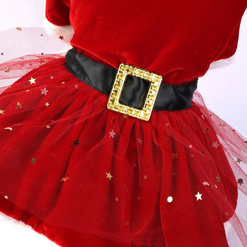 the CHRISTMAS BELLE DRESS - Christmas Red Mesh Dog Dress with Bow Headpiece, Festive Outfit for Small & Medium Dogs