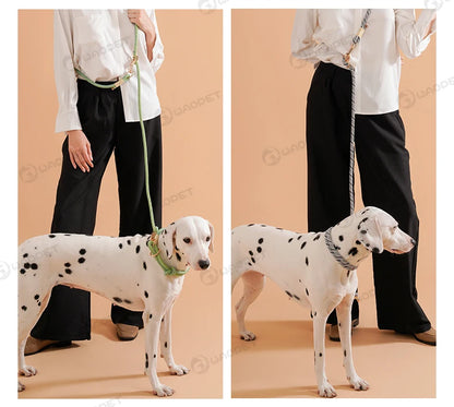 the SIMPLESTRIDE DOG COLLAR - Pet Dog Lead Rope Simple Trendy Style Collar, Leashes for Small/Medium and Large Dogs, Bulldog, Alaskan Malamute, Corgi, Teddy Dog