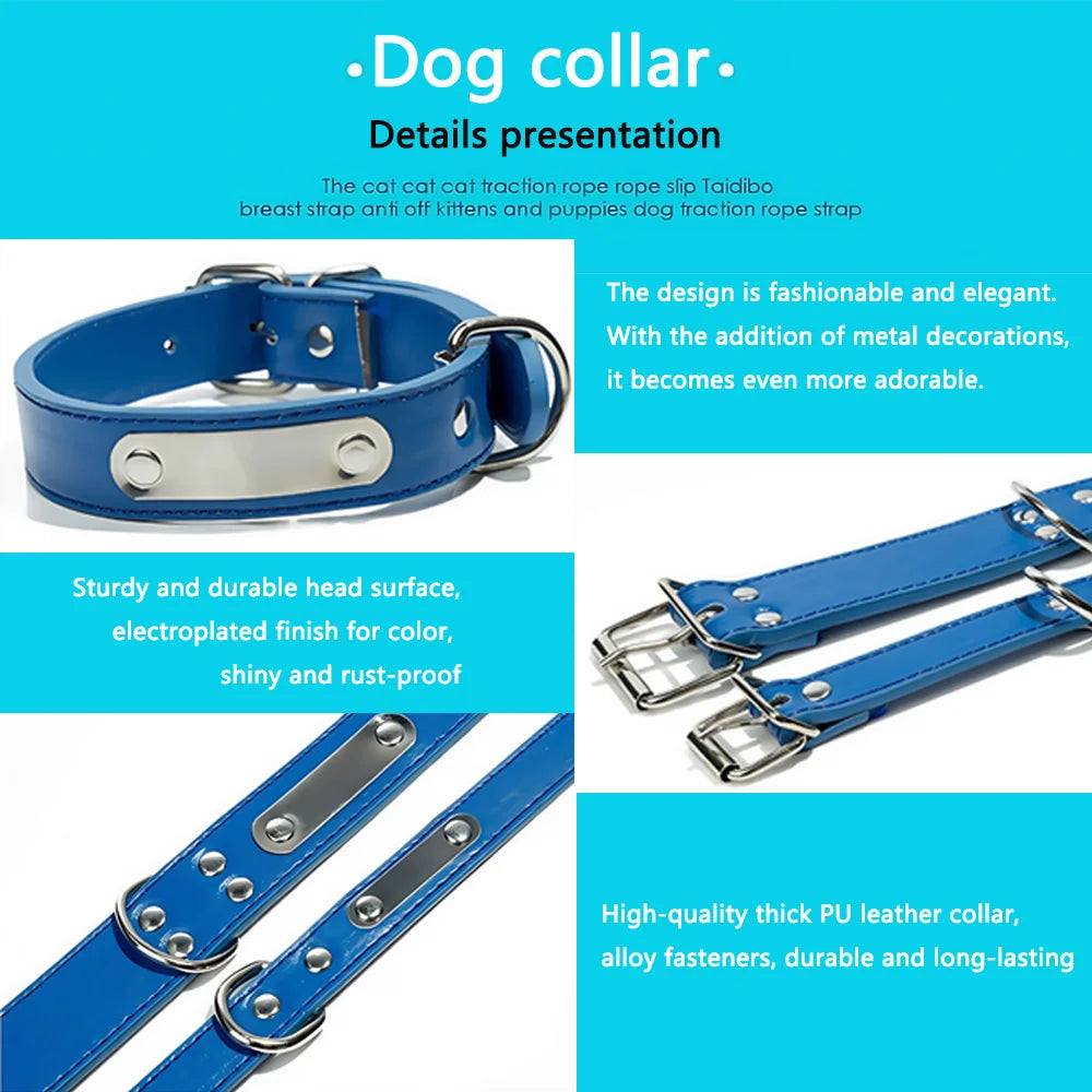 the NAMESAFE EVERYDAY ID COLLAR - Custom Personalized Dog Collar with Name Engraved ID, Anti-Loss Solid PU Leather for All Types of Puppies and Kittens, Pet Supplies