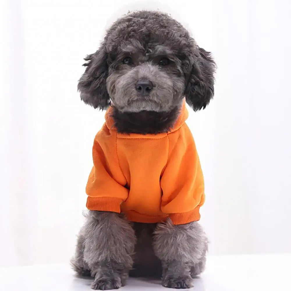 Winter Dog Hoodies Sweatshirt Jacket for Small and Medium Dog Pet Coat Puppy Clothes Chihuahuas Bulldog Costume Puppy Pet Autumn