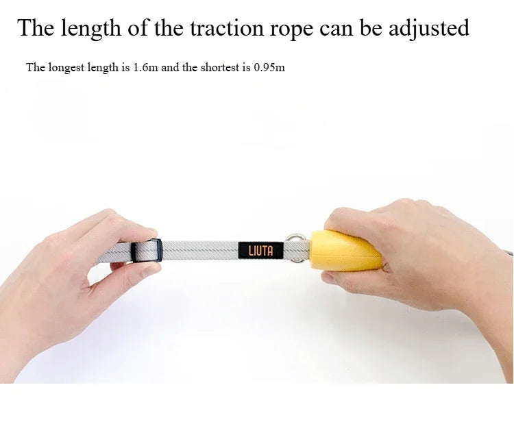 the SECUREWALK ANTI-LOST LEASH - New Anti-Lost Dog Leash, Explosion-Proof Dog Leash, Nylon Reflective Small/Medium Dog Leash for Walking Dogs, Outdoor Supplies