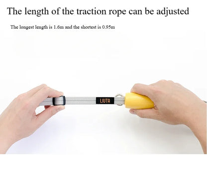 the SECUREWALK ANTI-LOST LEASH - New Anti-Lost Dog Leash, Explosion-Proof Dog Leash, Nylon Reflective Small/Medium Dog Leash for Walking Dogs, Outdoor Supplies