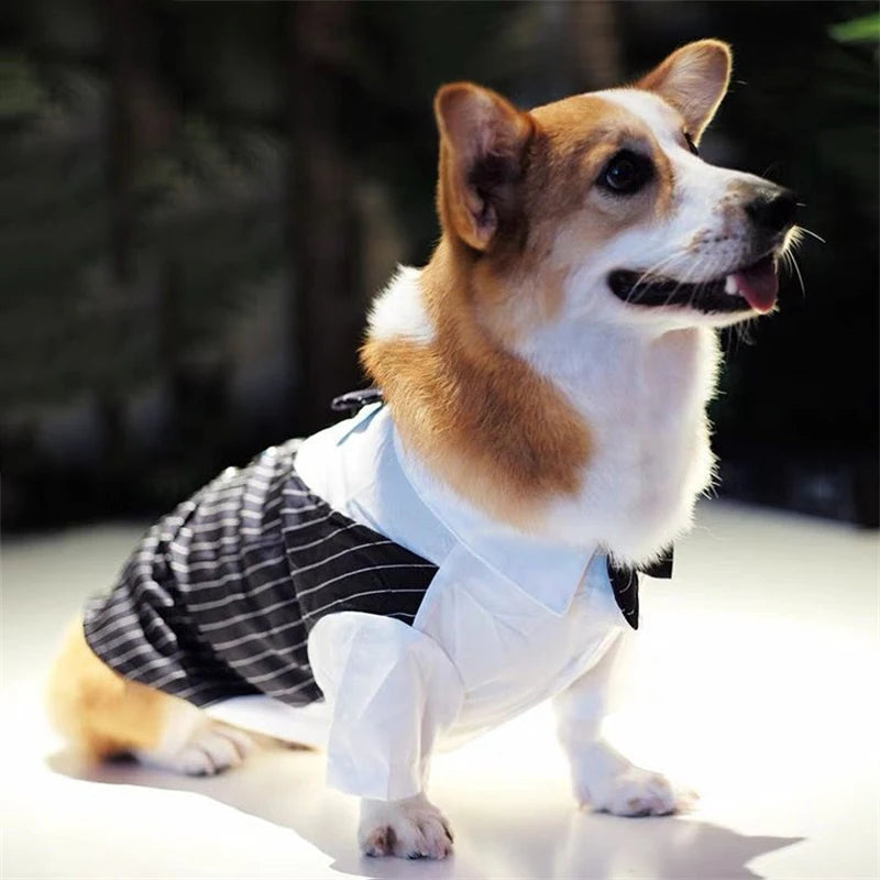 French Bulldog Pet Party Suit Tuxedo Weeding Formal Dog Clothes for Small Dogs Clothing Puppy Pug Corgi Shirts mascotas Costume