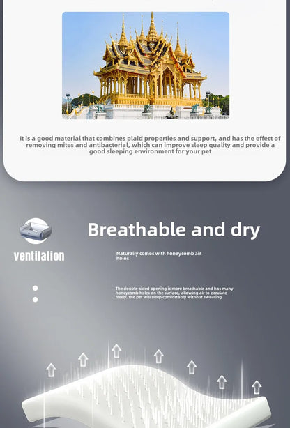 Natural Latex Pet Bed Winter Warm Dog Nest Removable Pet Sleeping Mat Anti-Mite and Antibacterial Cat Bed Soft Foam Pet Mattress