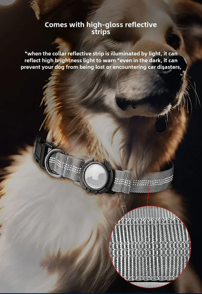 the FINDMYPAWS AIRTAG COLLAR - Dog Collar Reflective Waterproof Transparent Cover Airtag Locator Anti-Loss Pet Collar