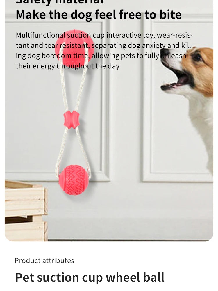 Dog Toys TPR Ball Teeth Grinding Cleaning Teeth Pet Play Suction Cup Elastic Pull Rope Chew Toy Dog Supplies