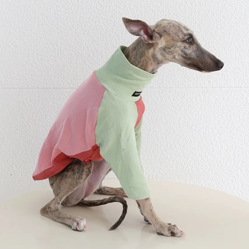8colors Italian Greyhound Hound Two-Legged Clothes Fashionable Multicolor Soft Comfortable Elastic Fashion Patchwork Dog Clothes