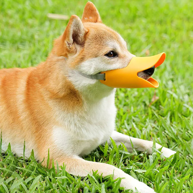 Dog Silicone Duck Muzzle For Pet Anti Bite Stop Barking Small Large Dog Mask Safe Adjustable Mouthpiece Cover Pet Accessories