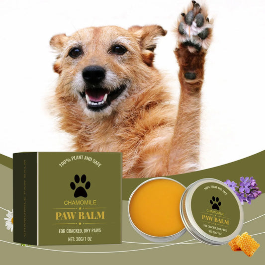 the PAW BALM - Natural Dog Paw Balm, Dog Protections for Hot Pavement, Dog Wax for Dry Paws & Nose, Moisturizer for Cracked Paws