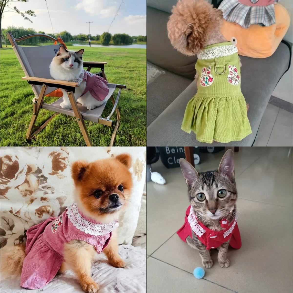 Spring Summer Pet Dog Dress Cat Princess Cute Dress Small Dog Cat Wedding Fashion Skirt Puppy Clothes Chihuahua Pet Costume