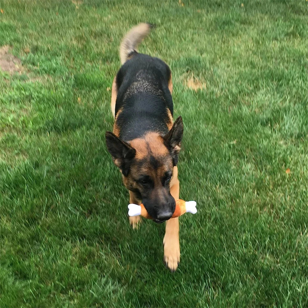 the GO BANANAS CHEW TOYS - 10 PACK SET - Pet Dog Toys, Plush Chew Toy, Soft Banana Bone Vegetable Fruit Squeaky Puppy Training Interactive Toy, Bite-Resistant, Pet Supplies