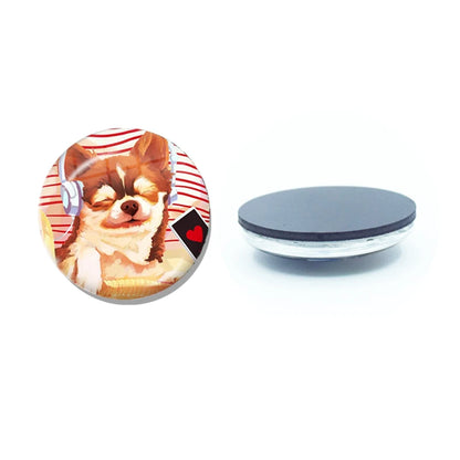 New Chihuahua Magnet Fridge Stickers Decoration Home Refrigerator Decor Glass Dome Crystal Souvenir