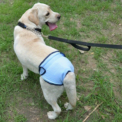 Washable Dog Diapers Physiological Pant Female Puppy Panties Shorts Underwear Cotton Female Dog Diper Panties Dog Cat Clothes