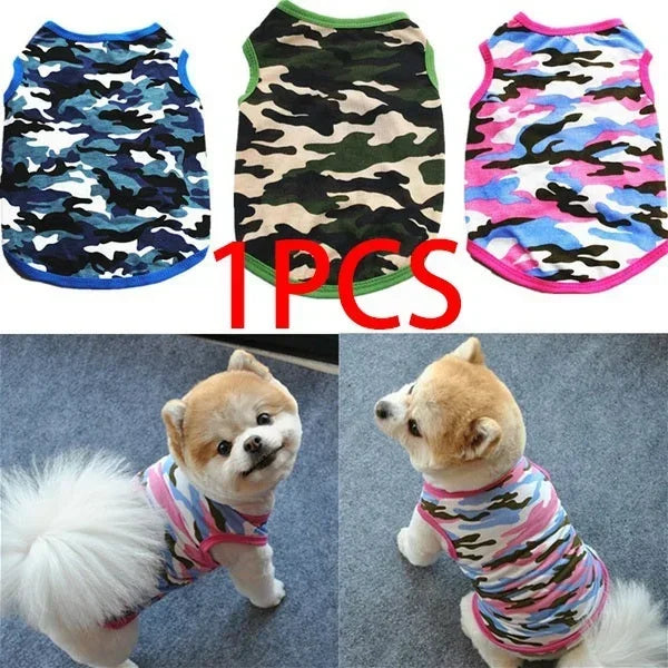 Delysia King Dog Vest