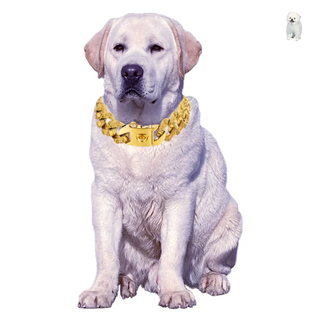 the ALPHALUX STEEL COLLAR - 32mm Gold Dog Collar - Stainless Steel Metal - Pet Choker Lead for Medium/Large Dogs, Pet Accessories, Labrador, Rottweiler
