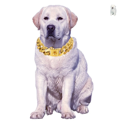 the ALPHALUX STEEL COLLAR - 32mm Gold Dog Collar - Stainless Steel Metal - Pet Choker Lead for Medium/Large Dogs, Pet Accessories, Labrador, Rottweiler