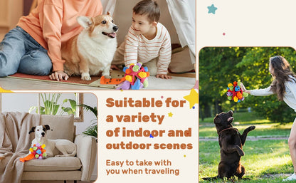 Dog Sniffing Ball Innovative Pet Shaking Training Toys for Pet Training Tooth Cleaning Puppy Chew Relieve Boredom Dog Toy