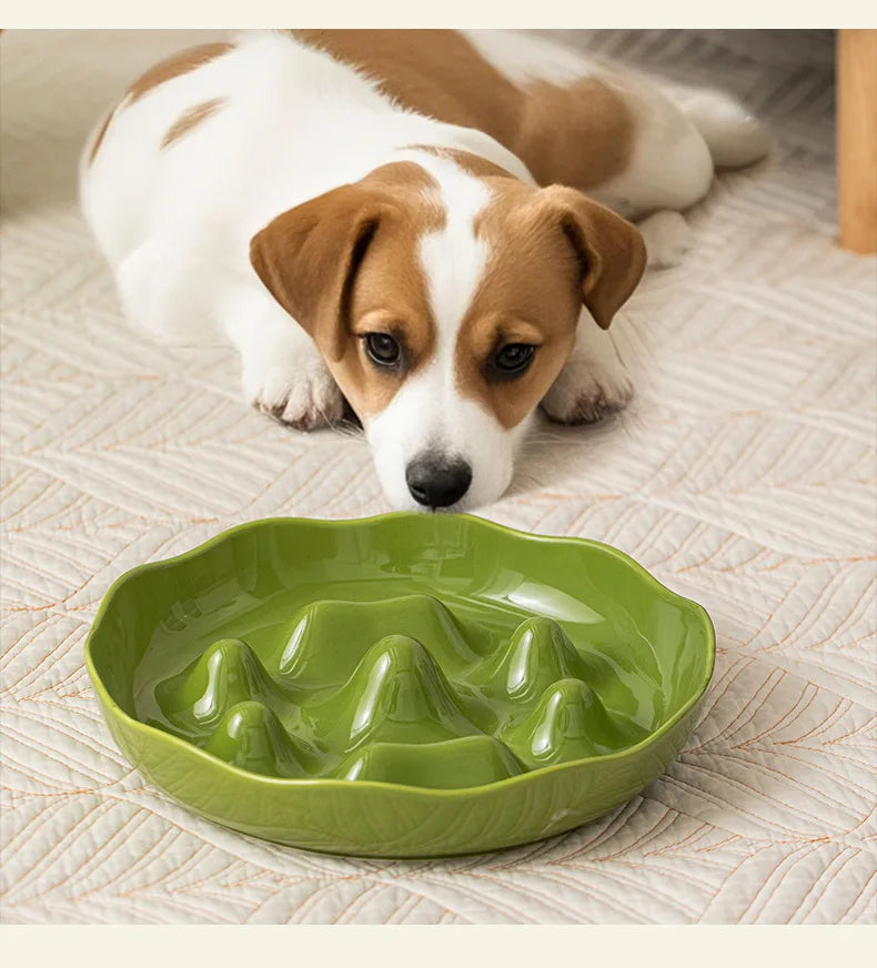 Slow Feeder Dog Bowl Large, Non-Slip Pet Food Dish for Medium Giant Dogs Like Labrador To Prevent Choking & Bloat