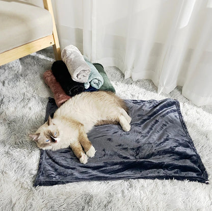 Soft Thickened Warm Dog Blanket, Washable Pet Sleeping Blanket, Cats Bed Mat Puppy Kitten Nest Pads Pet Accessories