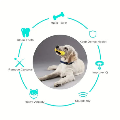 Vet-Approved Dental Chew Stick - 3-in-1 Cooling Toothbrush Toy for Small/Medium Dogs, Summer Teeth Cleaning & Gum Massage